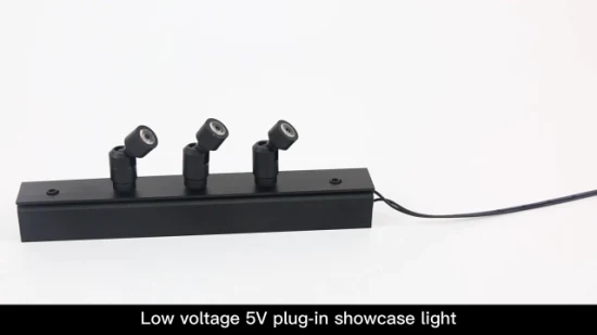 소형 LED 스포트라이트를 점화하는 진열장을 위한 분리가능한 5V 1W LED 빛