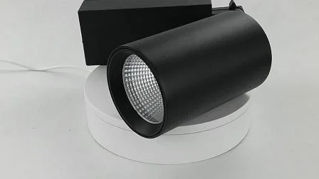 글로벌 트랙 조명 10와트 알루미늄 점포 매립형 LED 조명 LED 트랙 조명